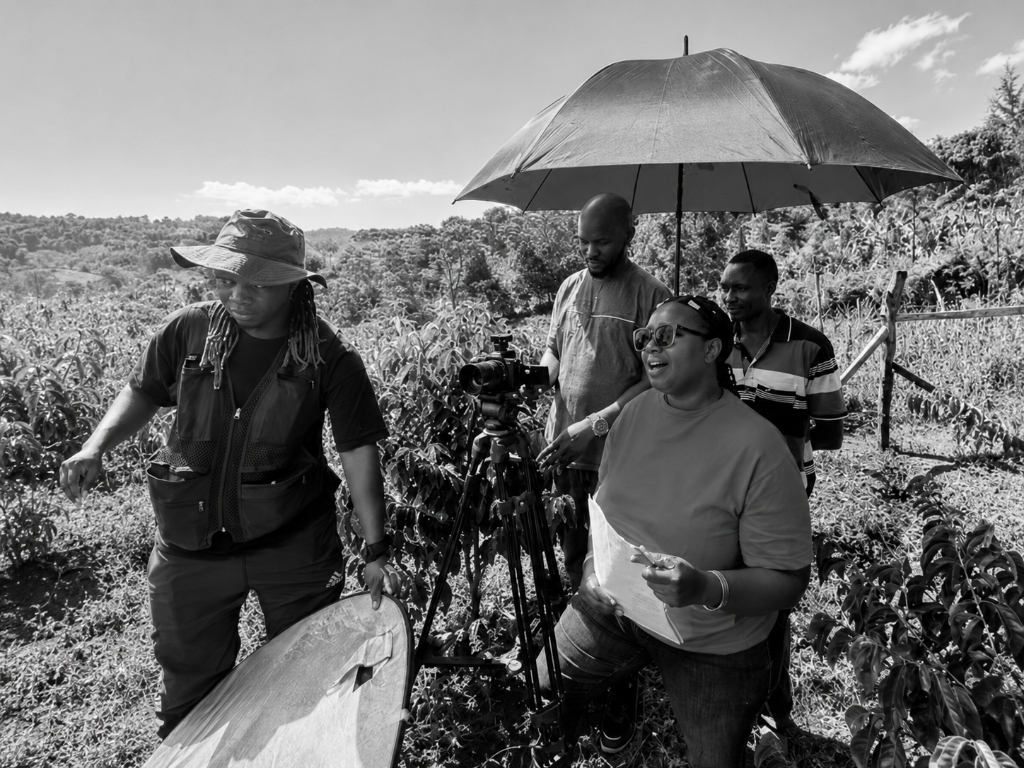 Content Production